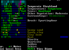 dwarf fortress ascii guide